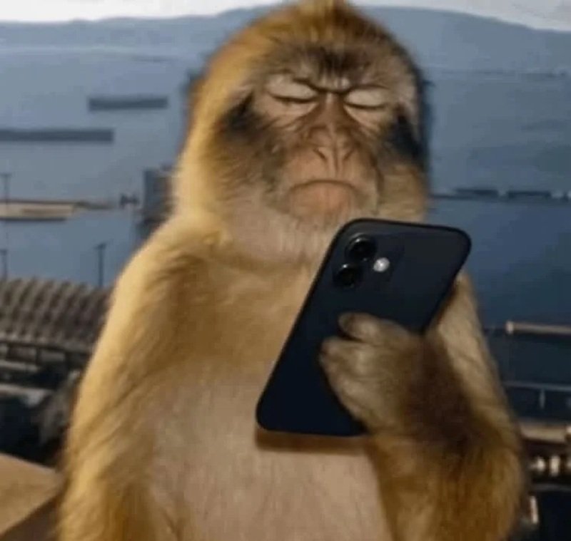 khỉ meme 18