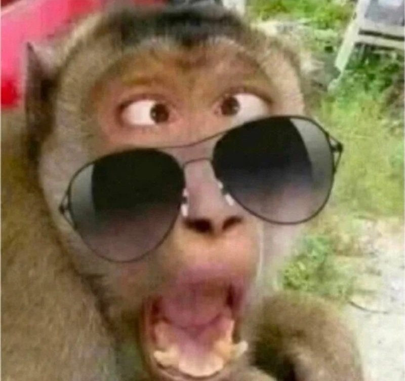 khỉ meme biểu cảm siêu hài