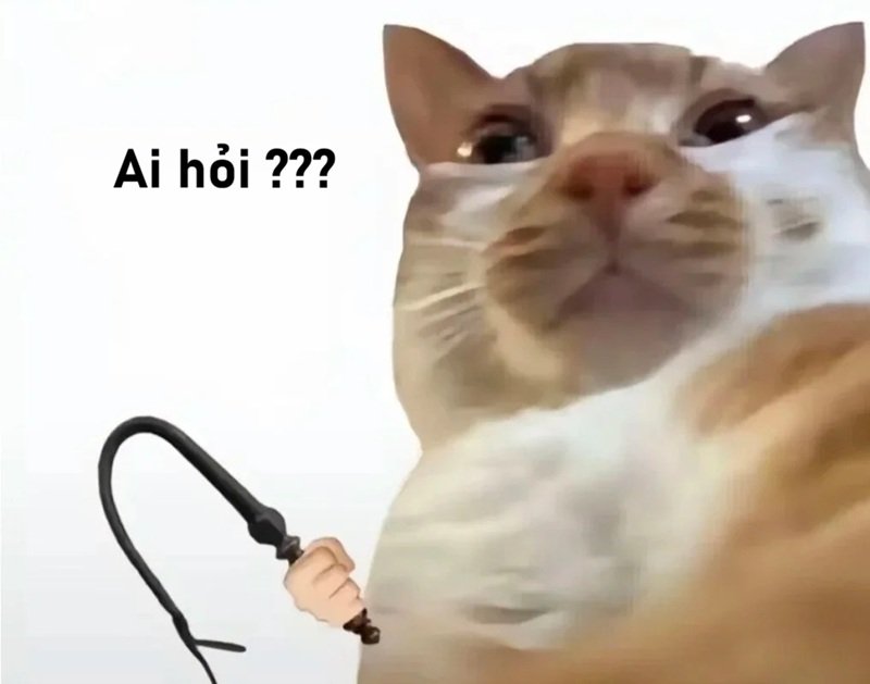 meme ai hỏi 17