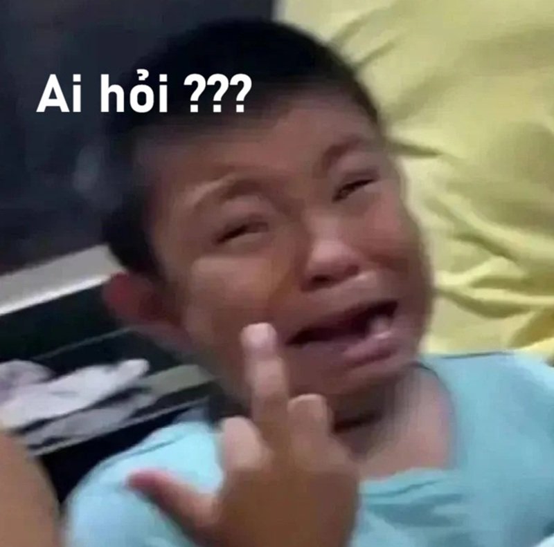 meme ai hỏi 19