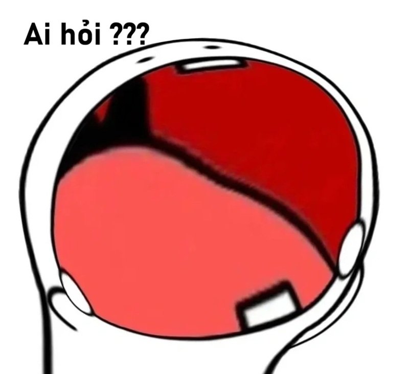 meme ai hỏi 21