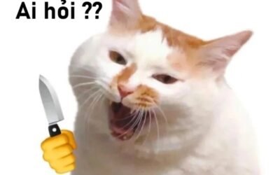 meme ai hỏi 23