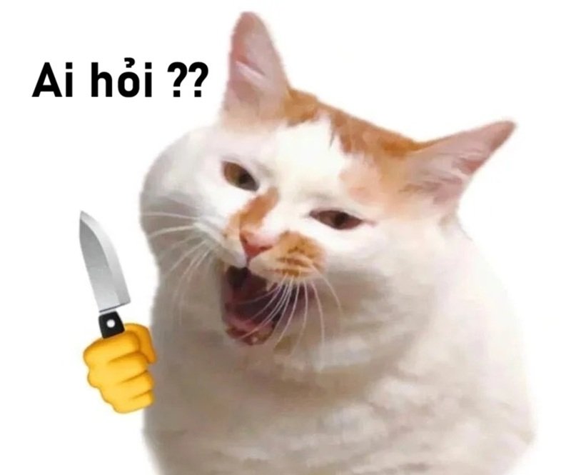 meme ai hỏi 23