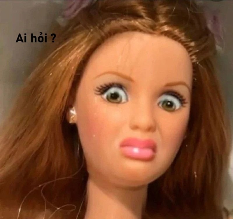 meme ai hỏi 24