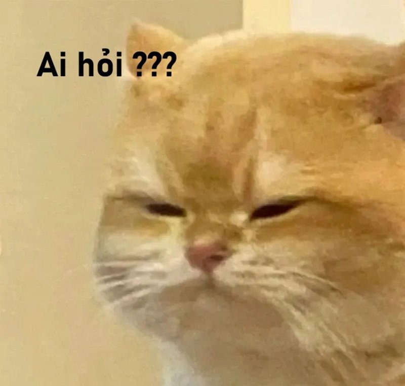 meme ai hỏi 25