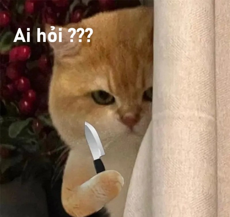 meme ai hỏi 26