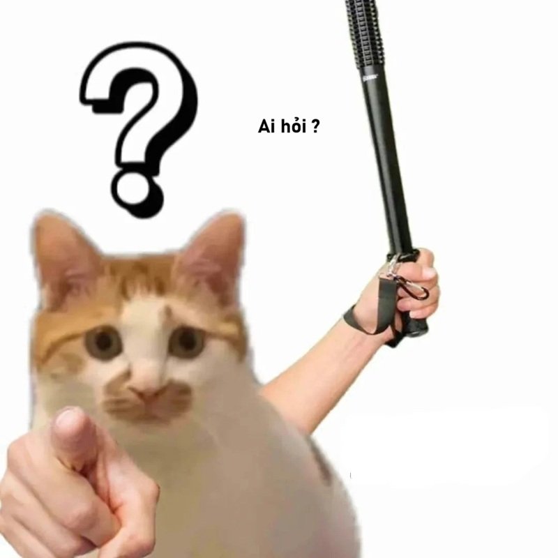 meme ai hỏi 29