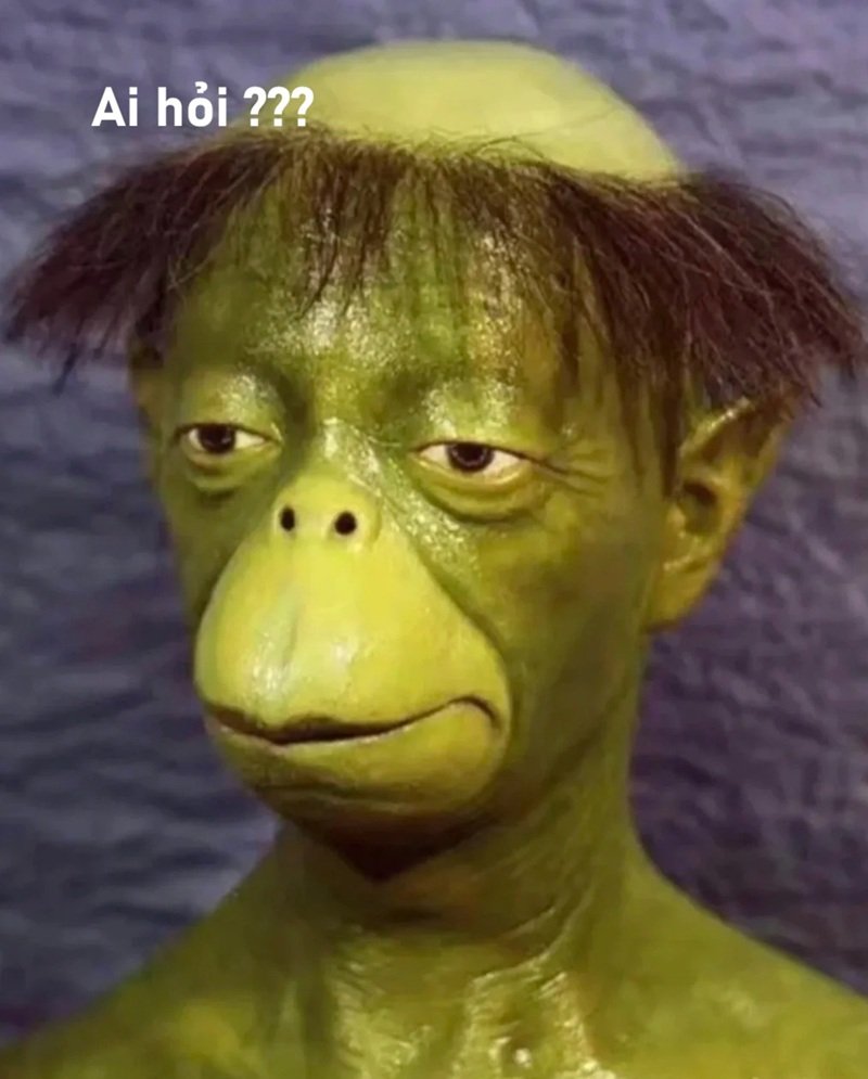meme ai hỏi 3