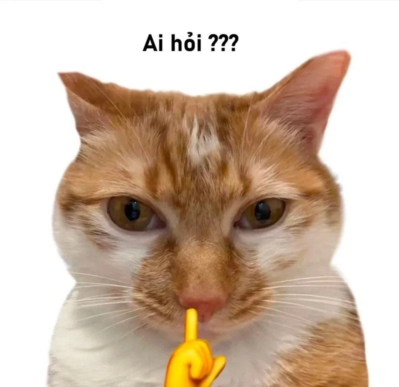 meme ai hỏi 30
