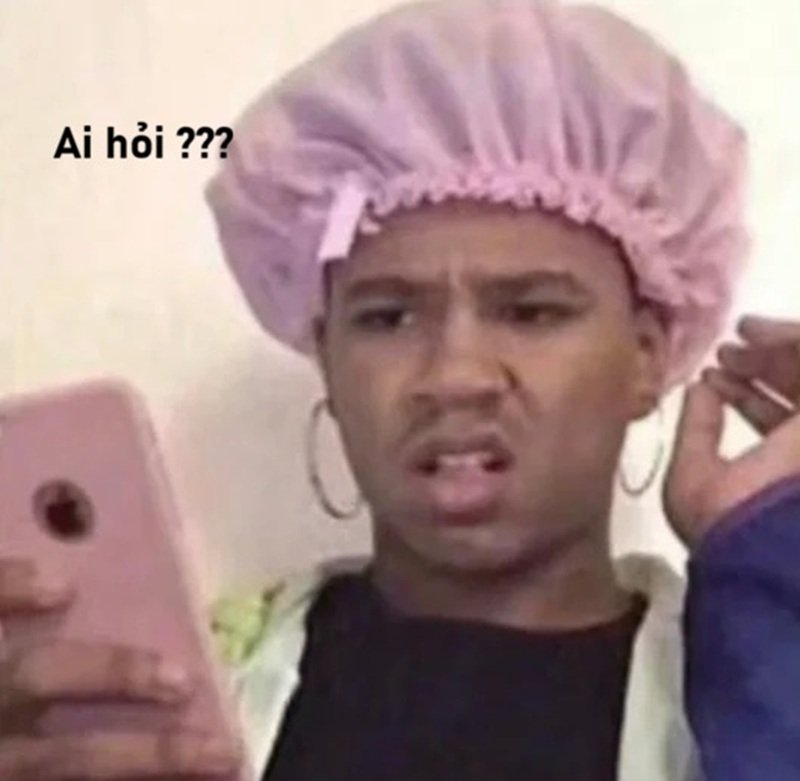 meme ai hỏi 33