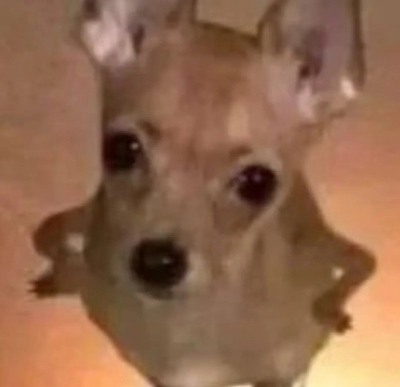 meme chống nạnh 37