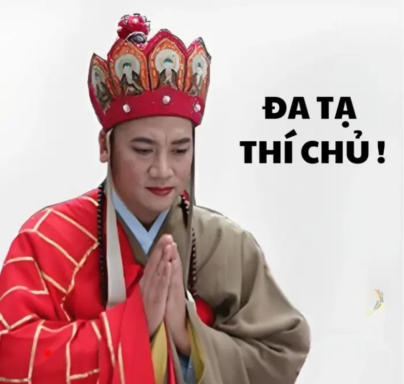 meme đa tạ 8