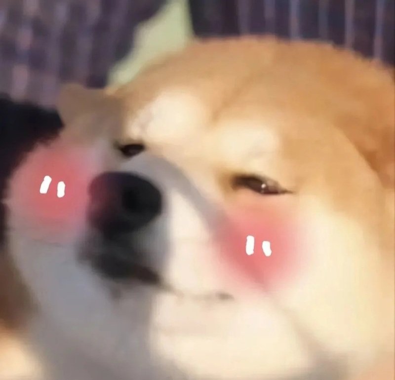 meme dễ thương 14