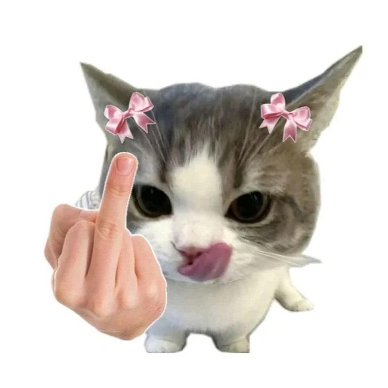 meme dễ thương 30