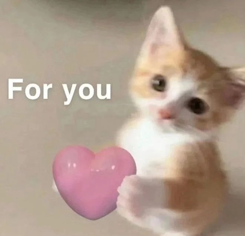 meme dễ thương 4