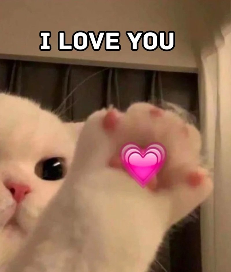 meme dễ thương 6