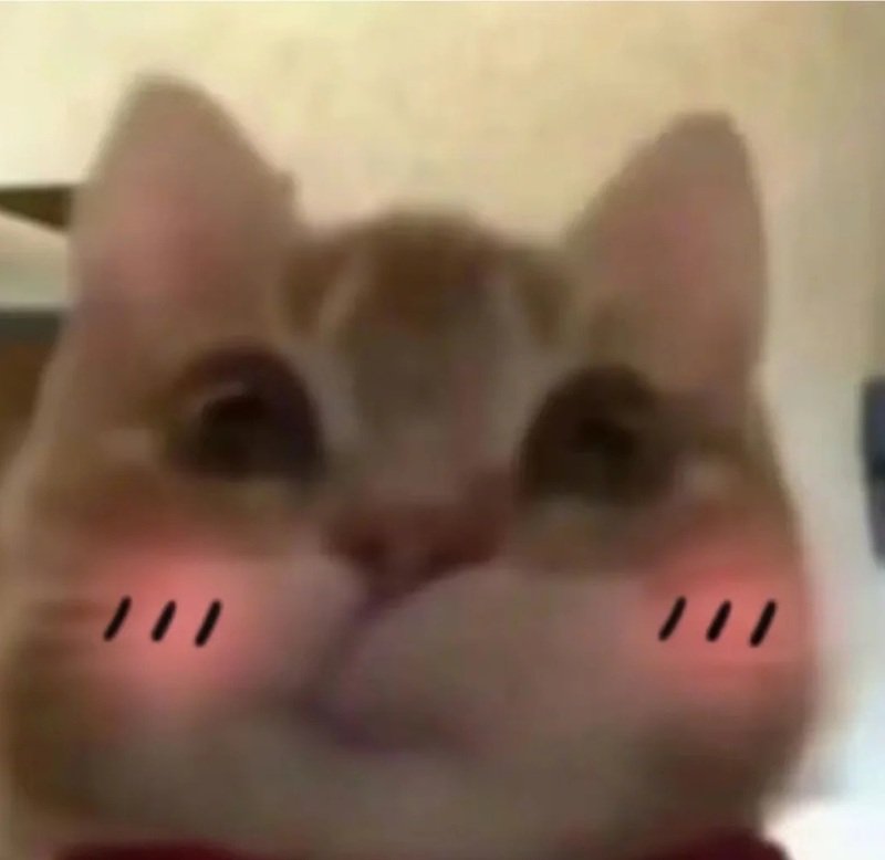 meme dễ thương 9