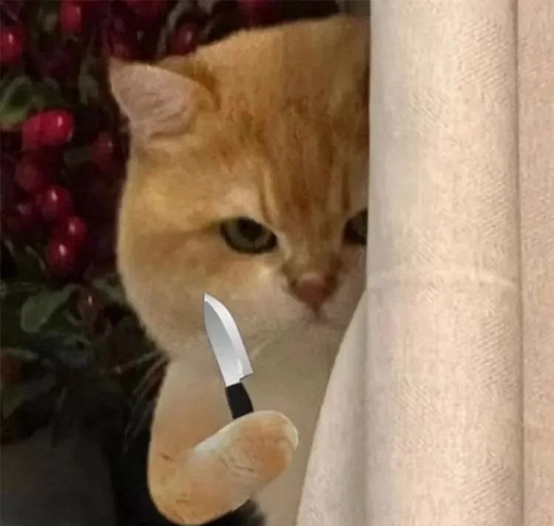 100+ Meme Dỗi Siêu Hài Khiến Ai Xem Cũng Bật Cười