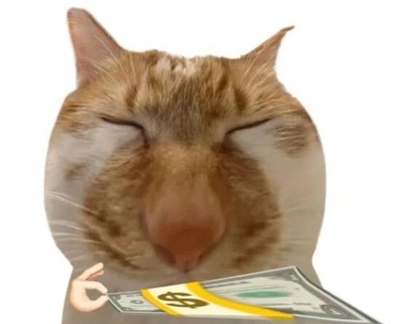 meme hết tiền 31