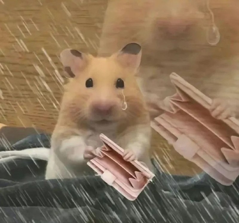 meme hết tiền 39