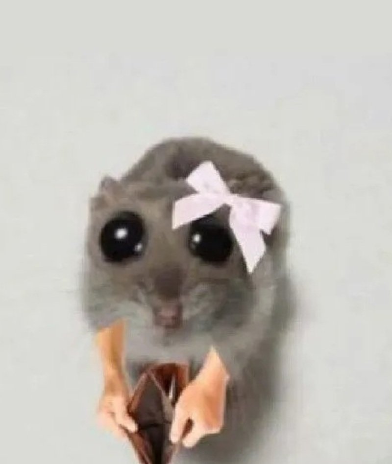 meme hết tiền 40