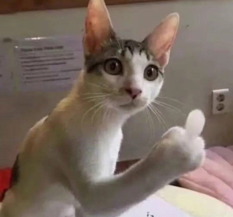 100+ Meme Khinh Bỉ Siêu Hài Để Cà Khịa Bạn Bè