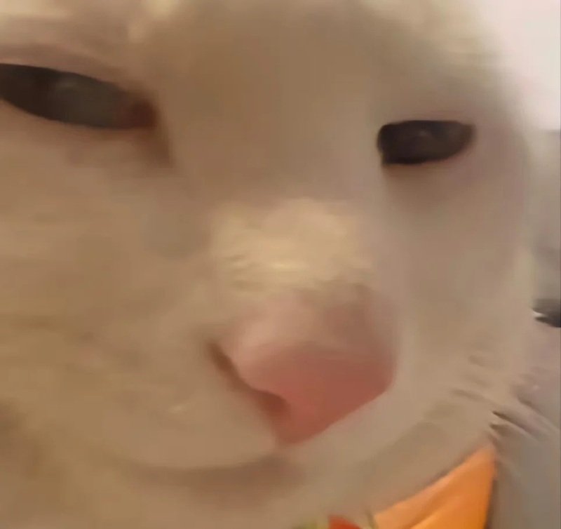 100+ Meme Lườm Siêu Hài Để Liếc Nhẹ Bạn Bè