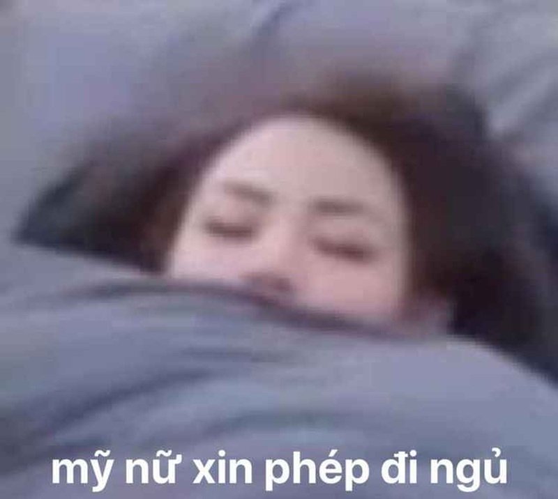 meme ngủ ngon 12