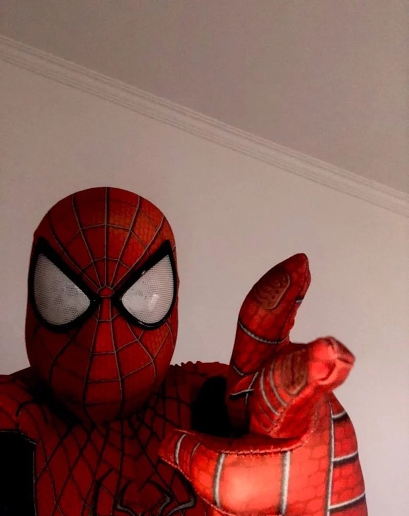 meme người nhện 16