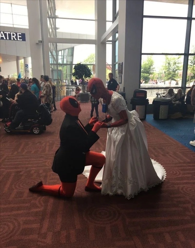 meme người nhện 41