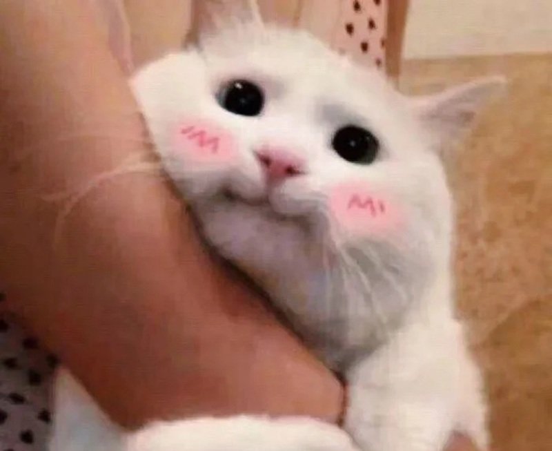 99+ Meme ôm đáng yêu dành cho người yêu và crush