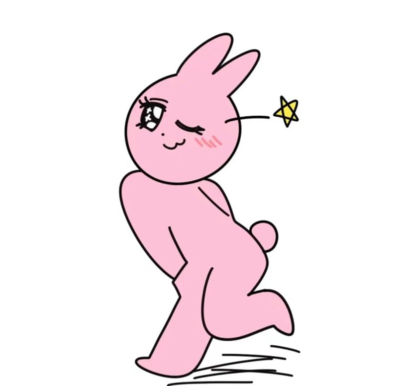 meme thỏ hồng 12