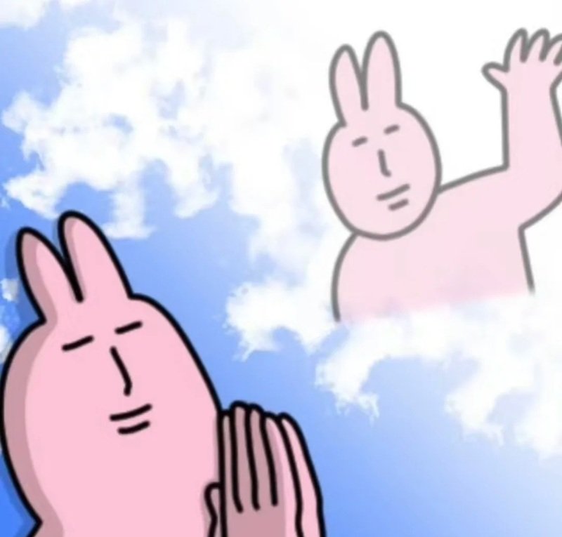 meme thỏ hồng 13