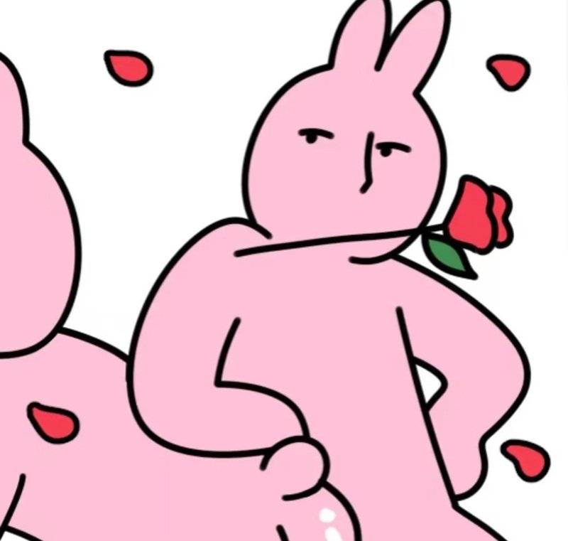 meme thỏ hồng 14