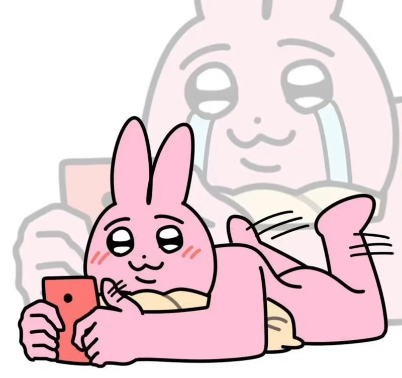 meme thỏ hồng 15