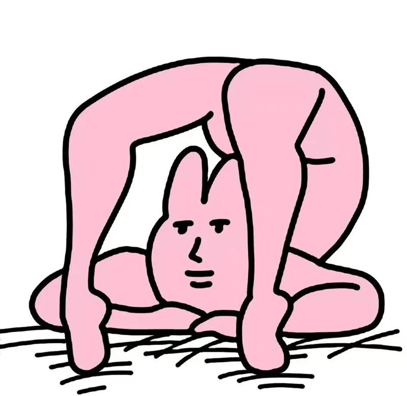 meme thỏ hồng 16