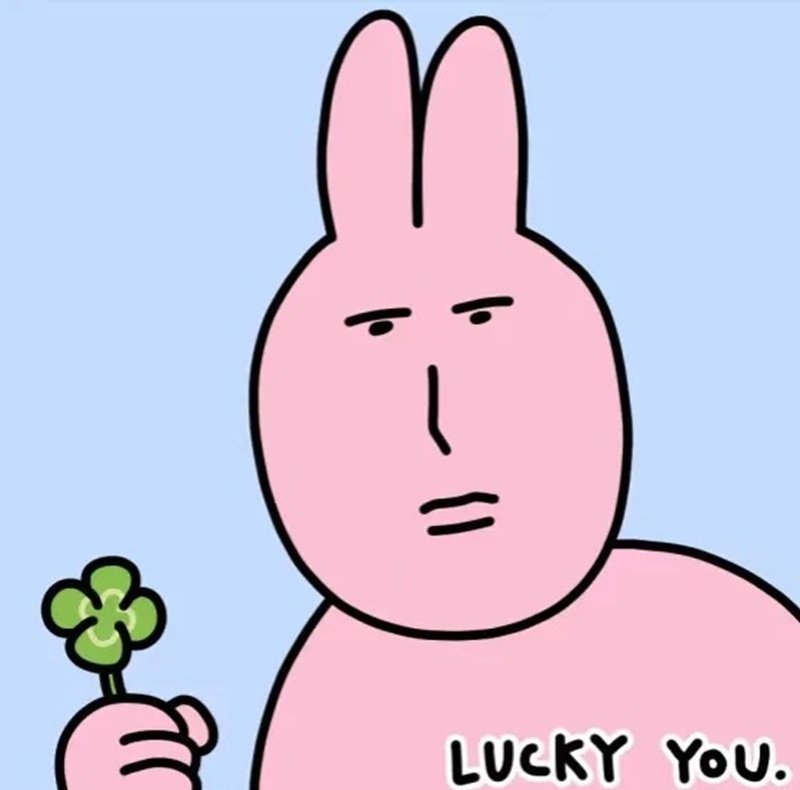 meme thỏ hồng 18