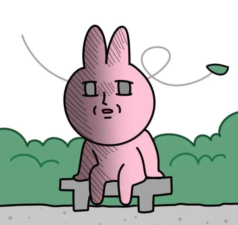 meme thỏ hồng 19