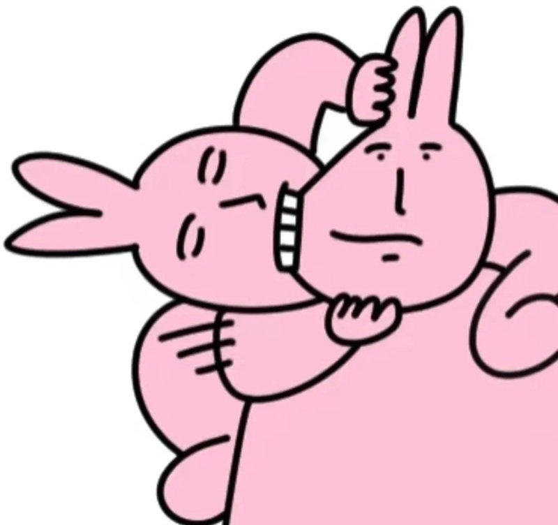 meme thỏ hồng 22