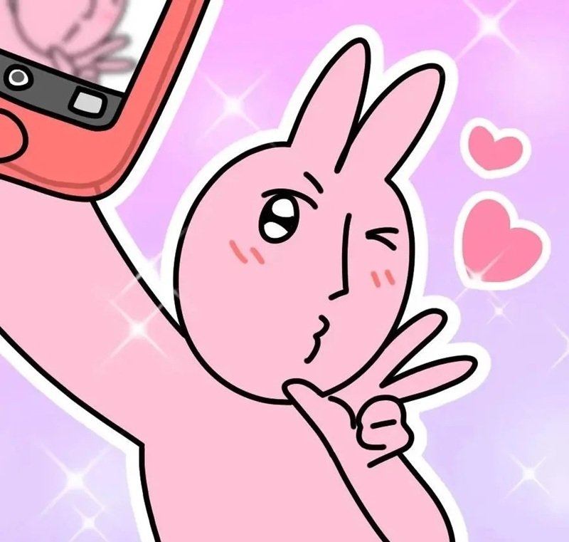 meme thỏ hồng 24