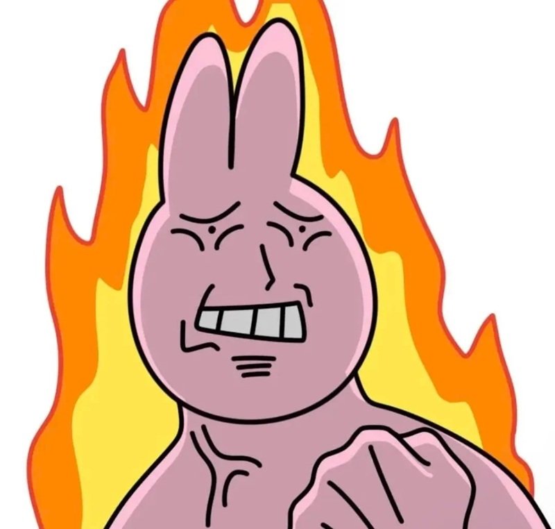 meme thỏ hồng 27