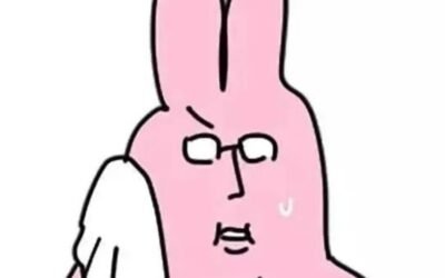 meme thỏ hồng 28