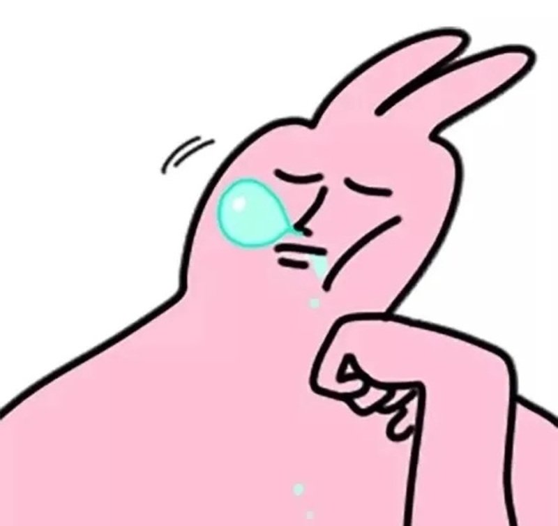 meme thỏ hồng 30