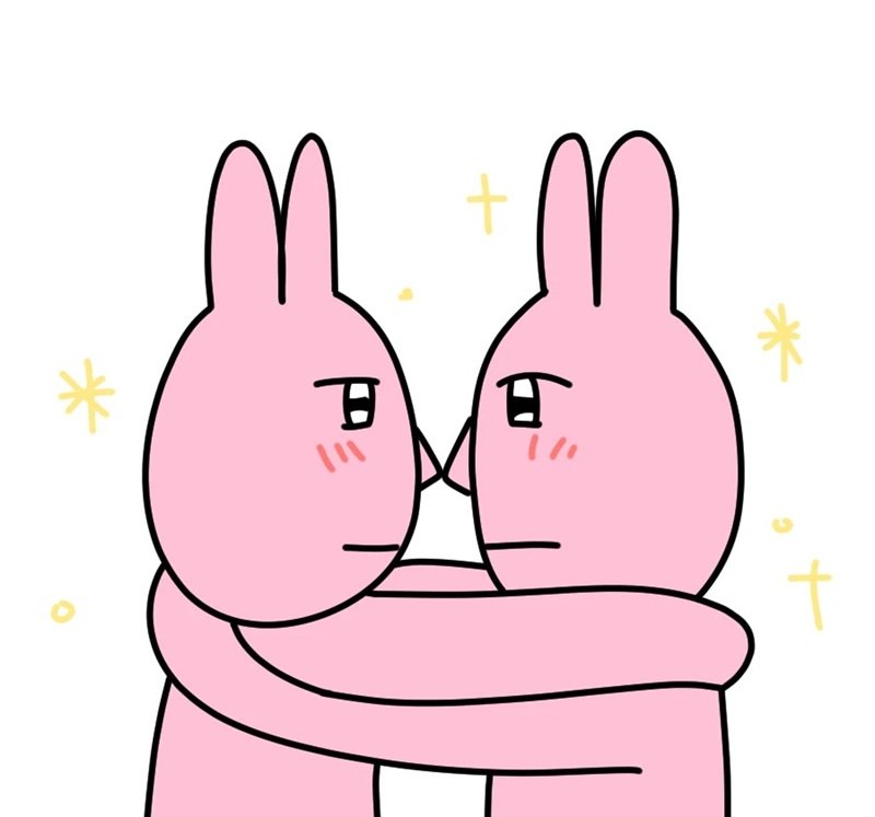 meme thỏ hồng 37