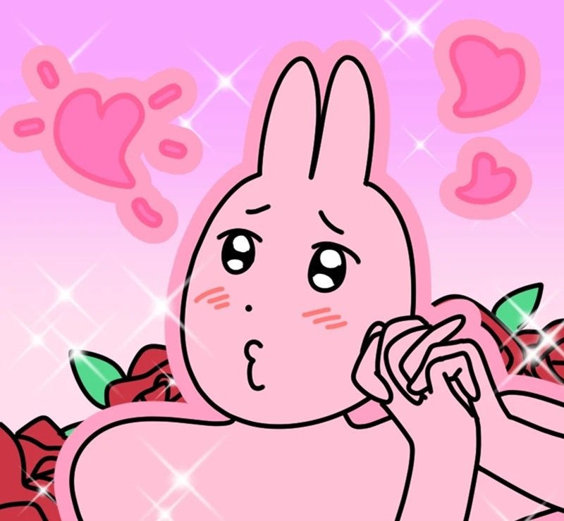 meme thỏ hồng 43