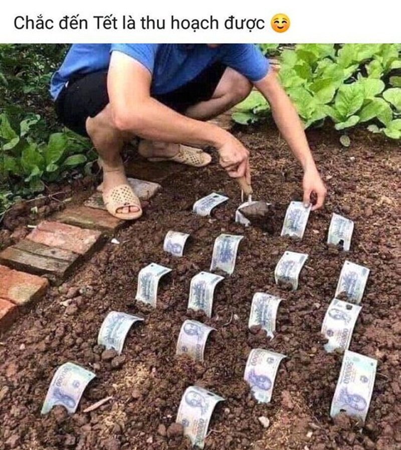 meme tiền 11