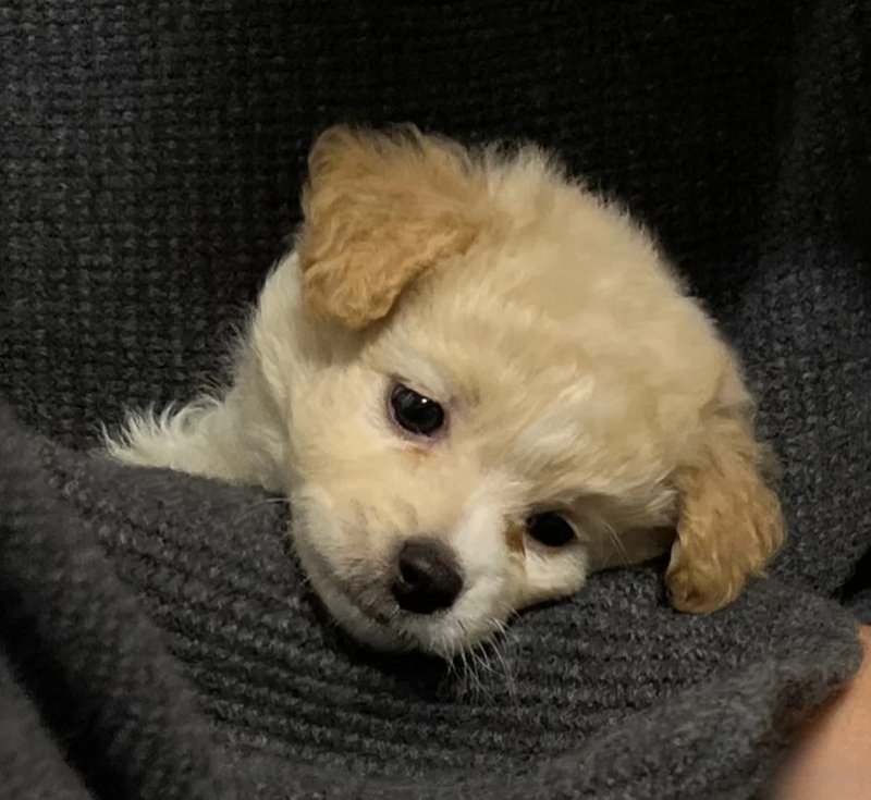 Bộ 99+ ảnh sad meme cực chất khiến bạn muốn chia sẻ ngay 