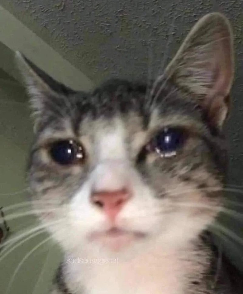 sad meme 7