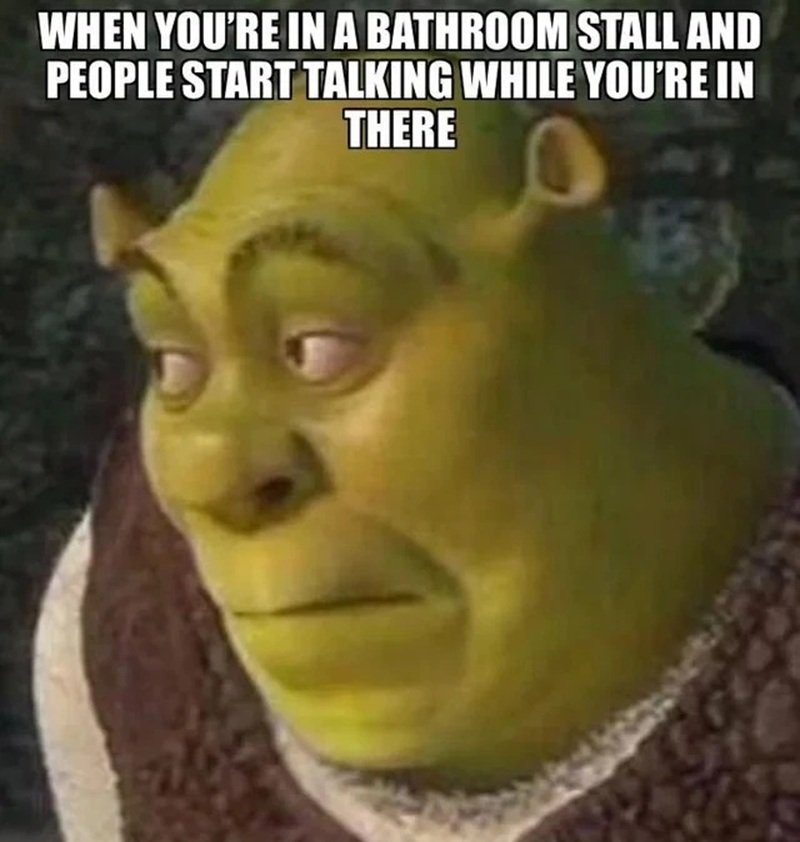 shrek meme 10