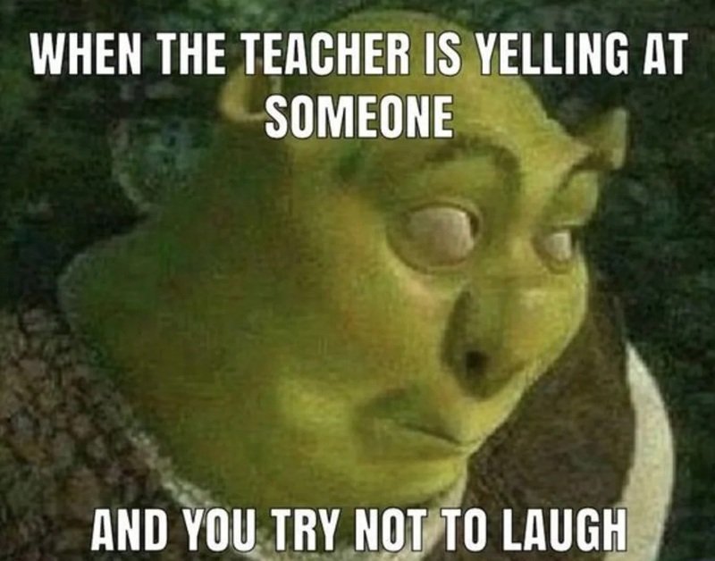 shrek meme 11